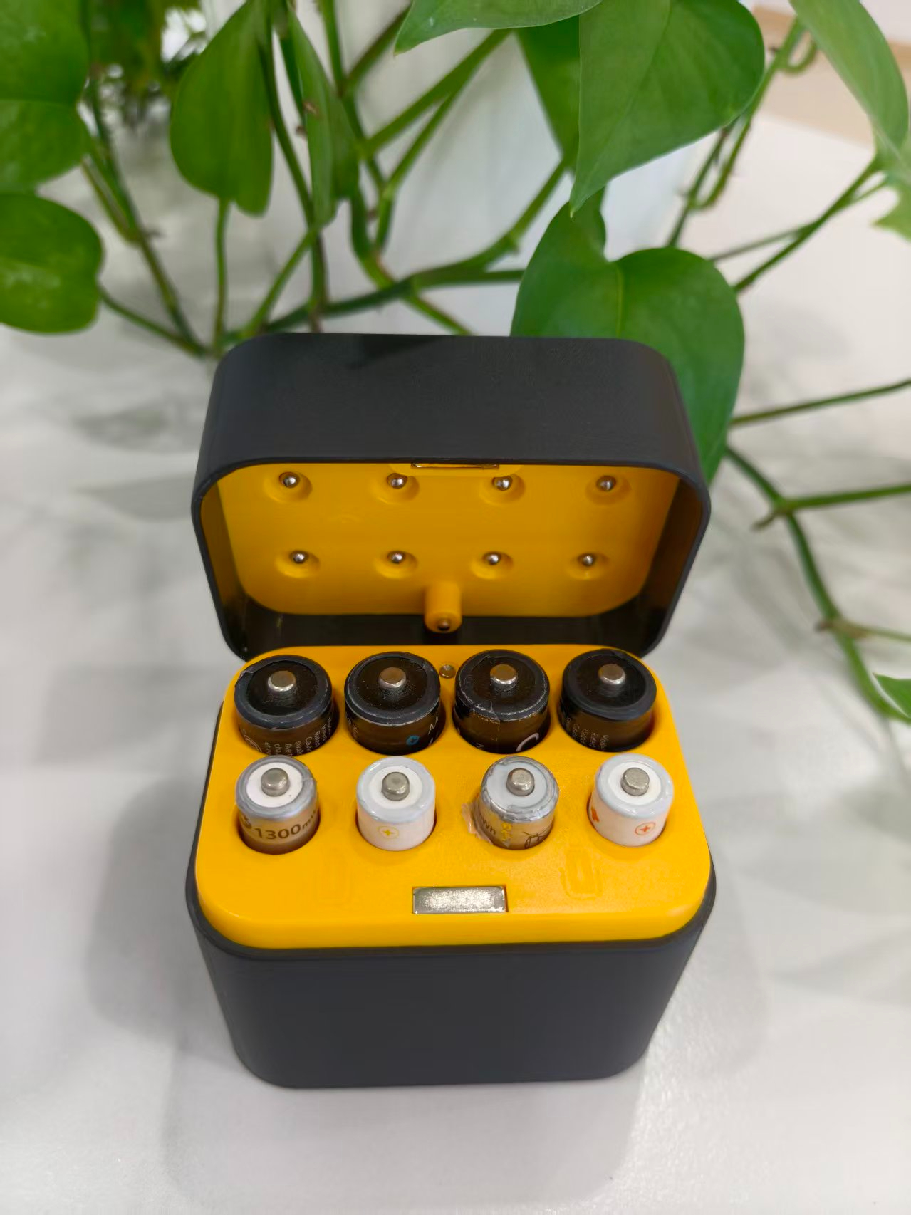 Lithium‑ion Battery Storage Charger  